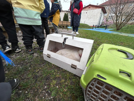 Na zahradu nám přijel traktor